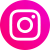 ins-icon