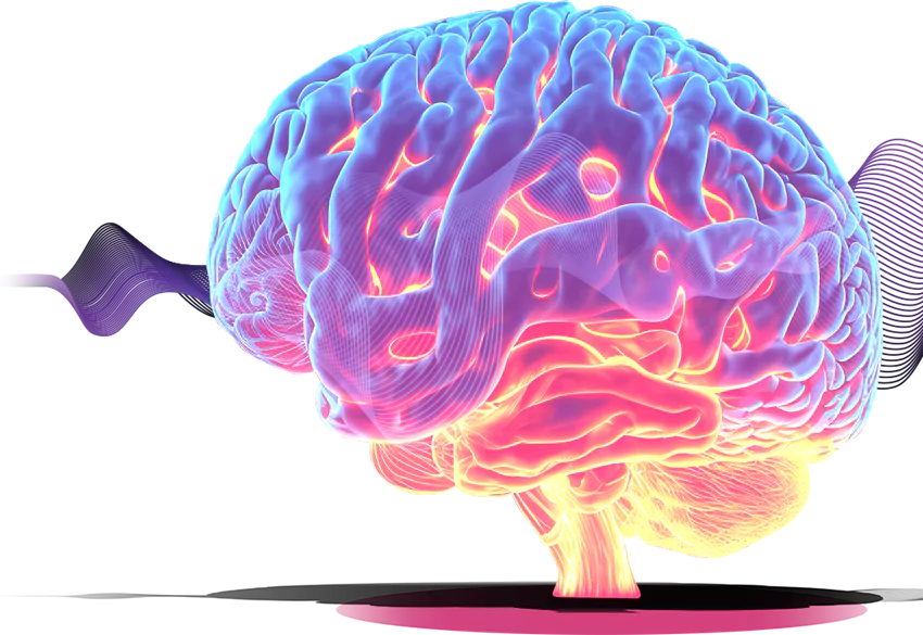 work-image1-68403a4974a10